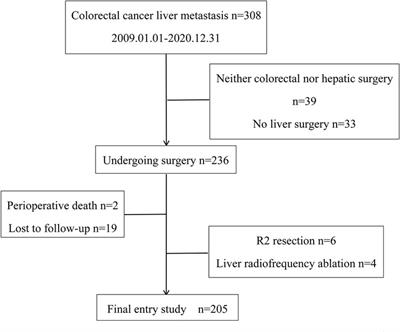 Analysis of survival factors after hepatic resection for colorectal cancer liver metastases: Does the R1 margin matter?